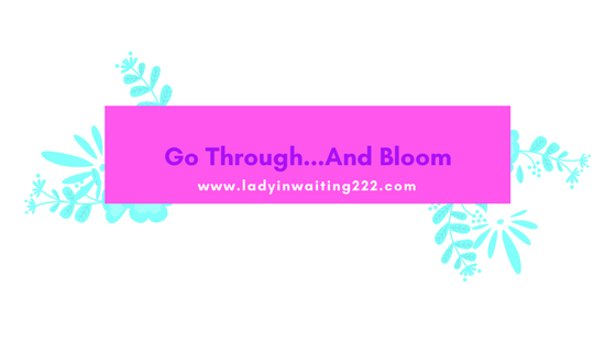 https://ladyinwaiting222.com/2018/03/22/go-through-and-bloom